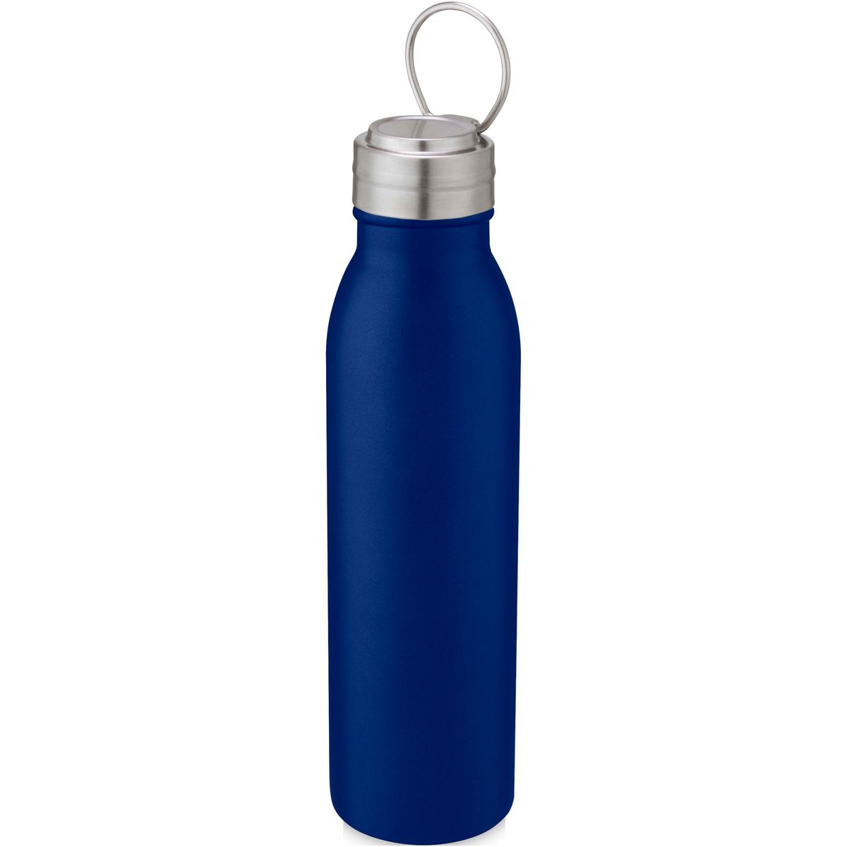 Enkelwandige RVS-drinkflessen 700 ml met metalen lus