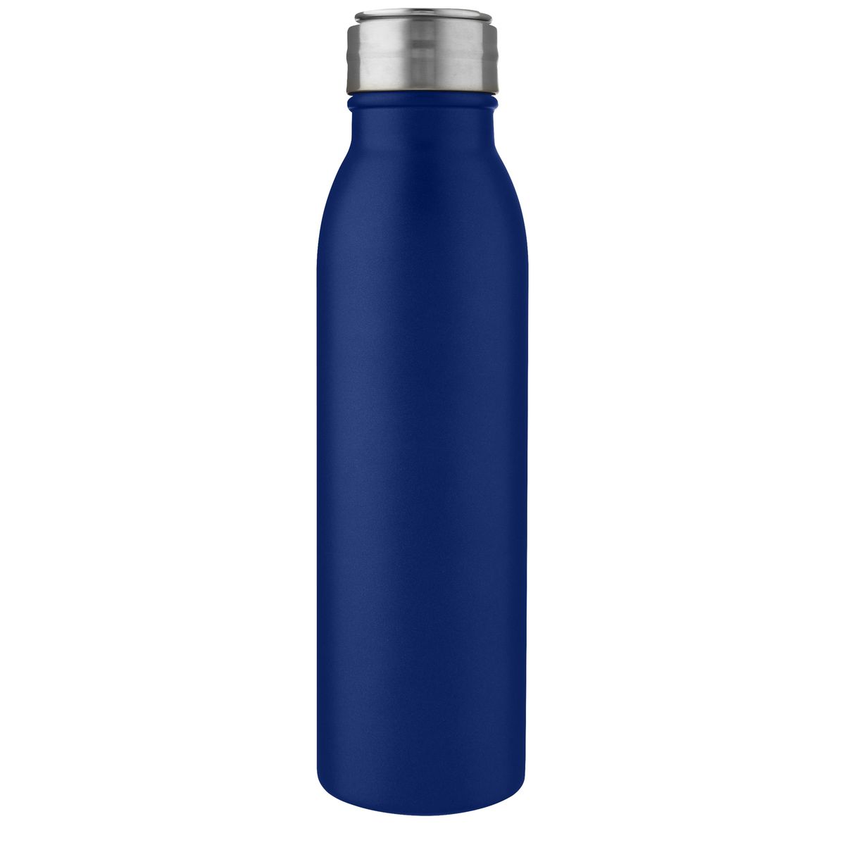 Enkelwandige RVS-drinkflessen 700 ml met metalen lus
