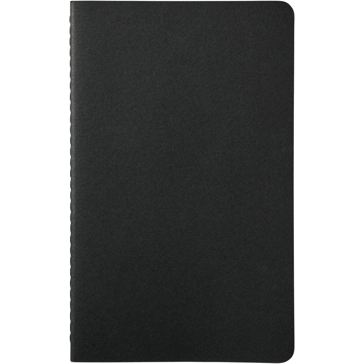 Moleskine blanco schriften met gestikte rug, 13 x 21 cm